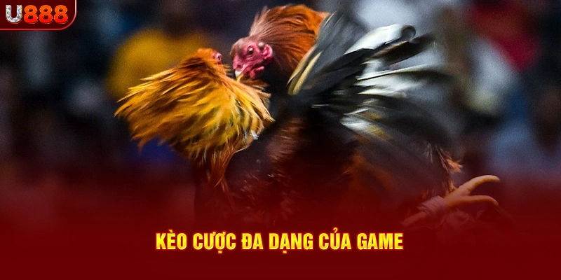 Kèo cược đa dạng của game đá gà cựa sắt u888