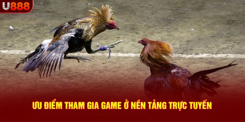 Ưu điểm tham gia game đá gà ở nền tảng trực tuyến u888